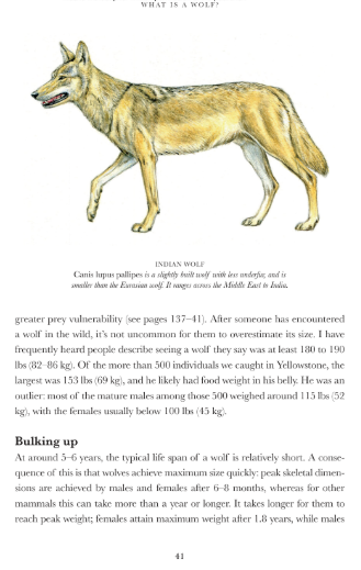 Wolf: The Illustrated Biography
