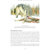 Wolf: The Illustrated Biography