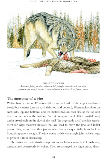 Wolf: The Illustrated Biography
