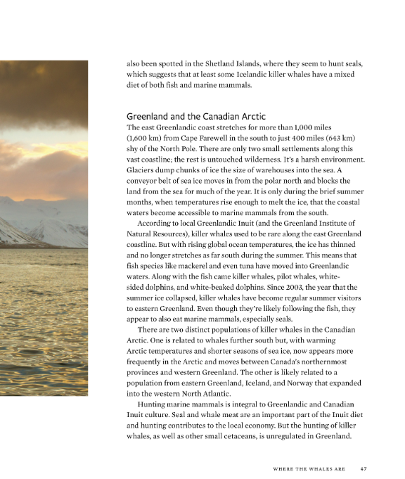 Wild Orcas: A Deep Dive into the World of Killer Whales