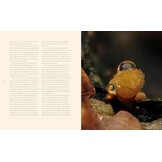 Tiny Nature - Discovering Nature's Hidden World Through the Lens of Macrophotography