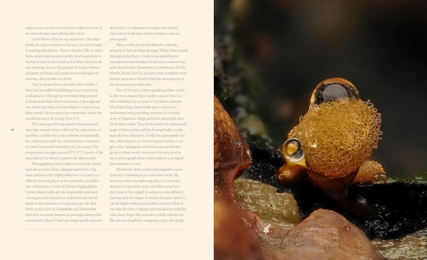 Tiny Nature - Discovering Nature's Hidden World Through the Lens of Macrophotography