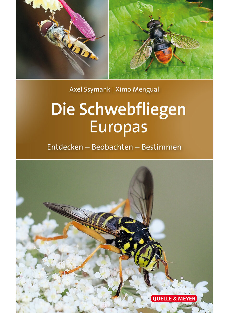 Die Schwebfliegen Europas - Entdecken - Beobachten - Bestimmen
