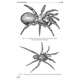 Tarantulas of the World - Volume 2: Other families