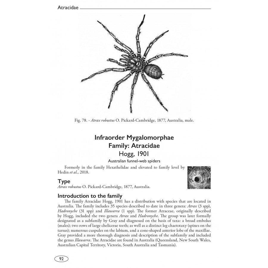 Tarantulas of the World - Volume 2: Other families