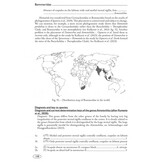 Tarantulas of the World - Volume 2: Other families