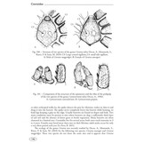 Tarantulas of the World - Volume 2: Other families