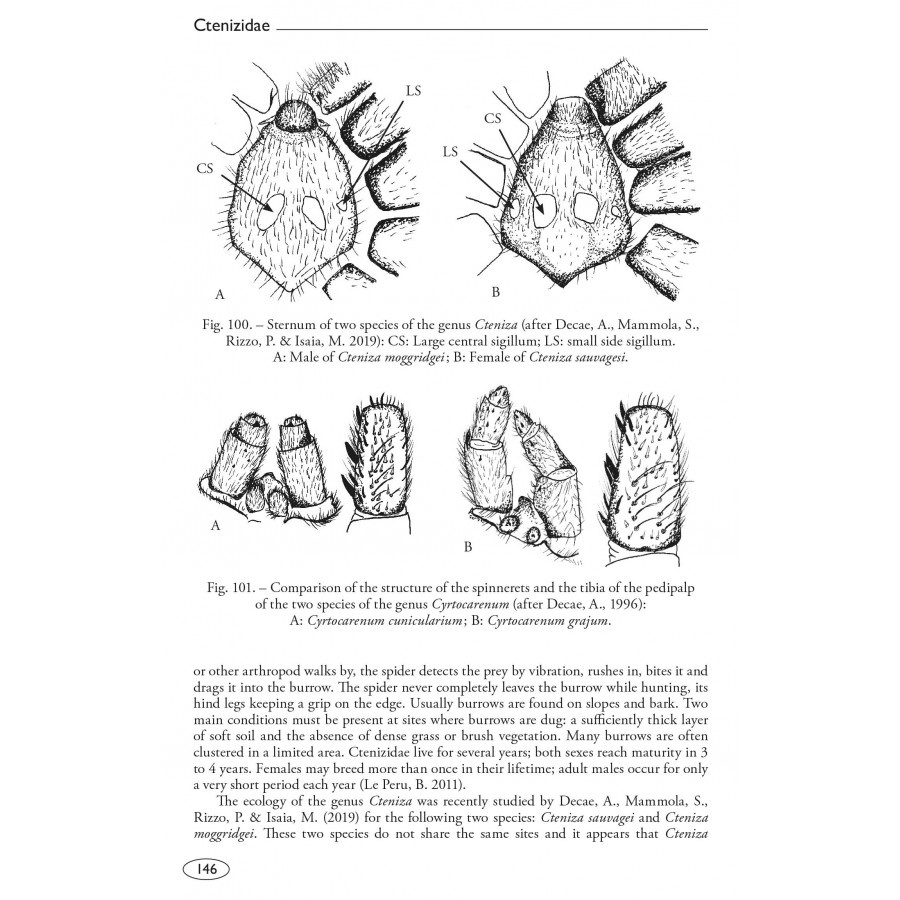 Tarantulas of the World - Volume 2: Other families