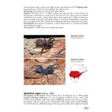 Tarantulas of the World - Volume 2: Other families