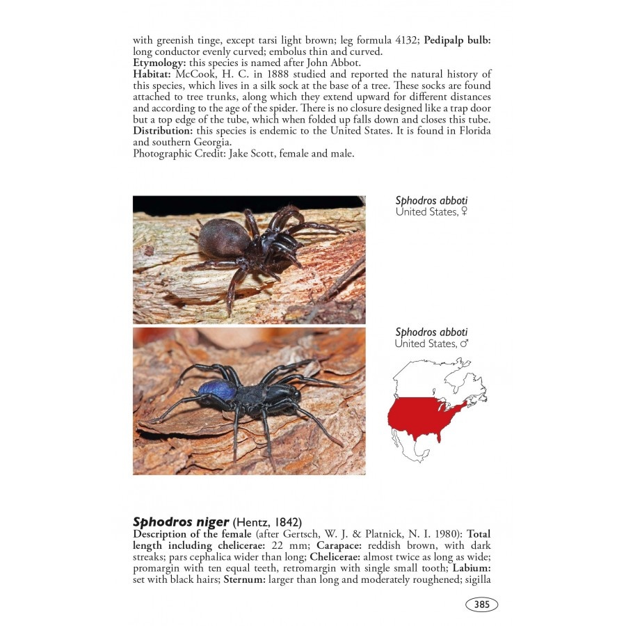 Tarantulas of the World - Volume 2: Other families