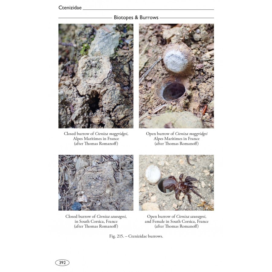 Tarantulas of the World - Volume 2: Other families