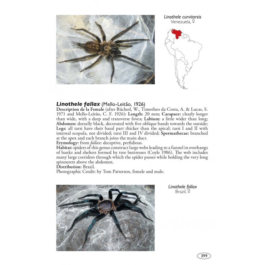 Tarantulas of the World - Volume 2: Other families