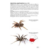 Tarantulas of the World - Volume 2: Other families