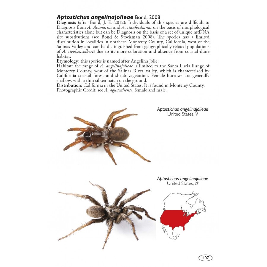 Tarantulas of the World - Volume 2: Other families