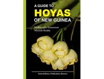 A Guide to Hoyas of New Guinea