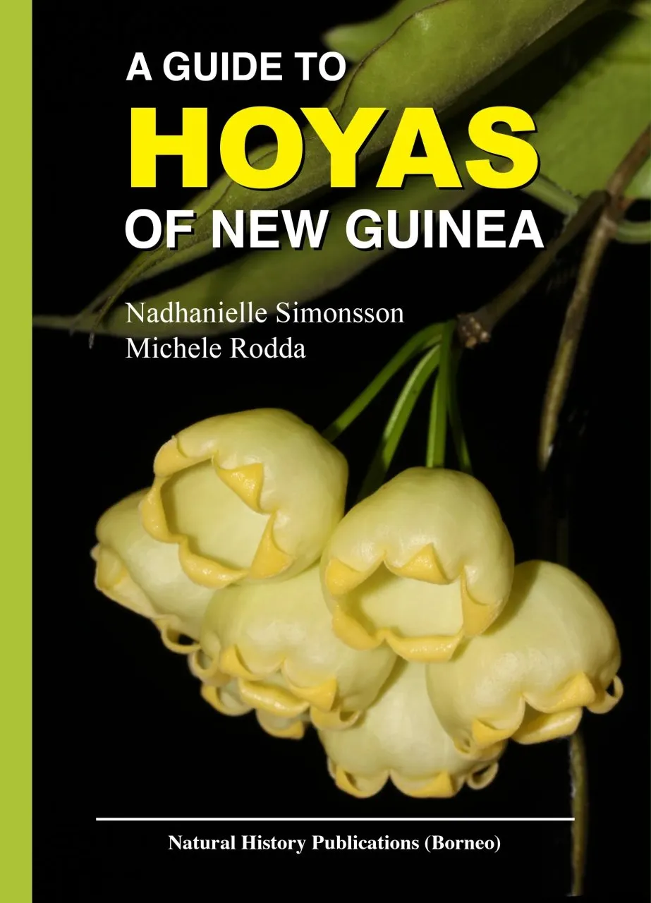 A Guide to Hoyas of New Guinea