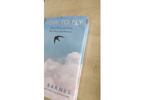 Beschadigd exemplaar – How to Fly