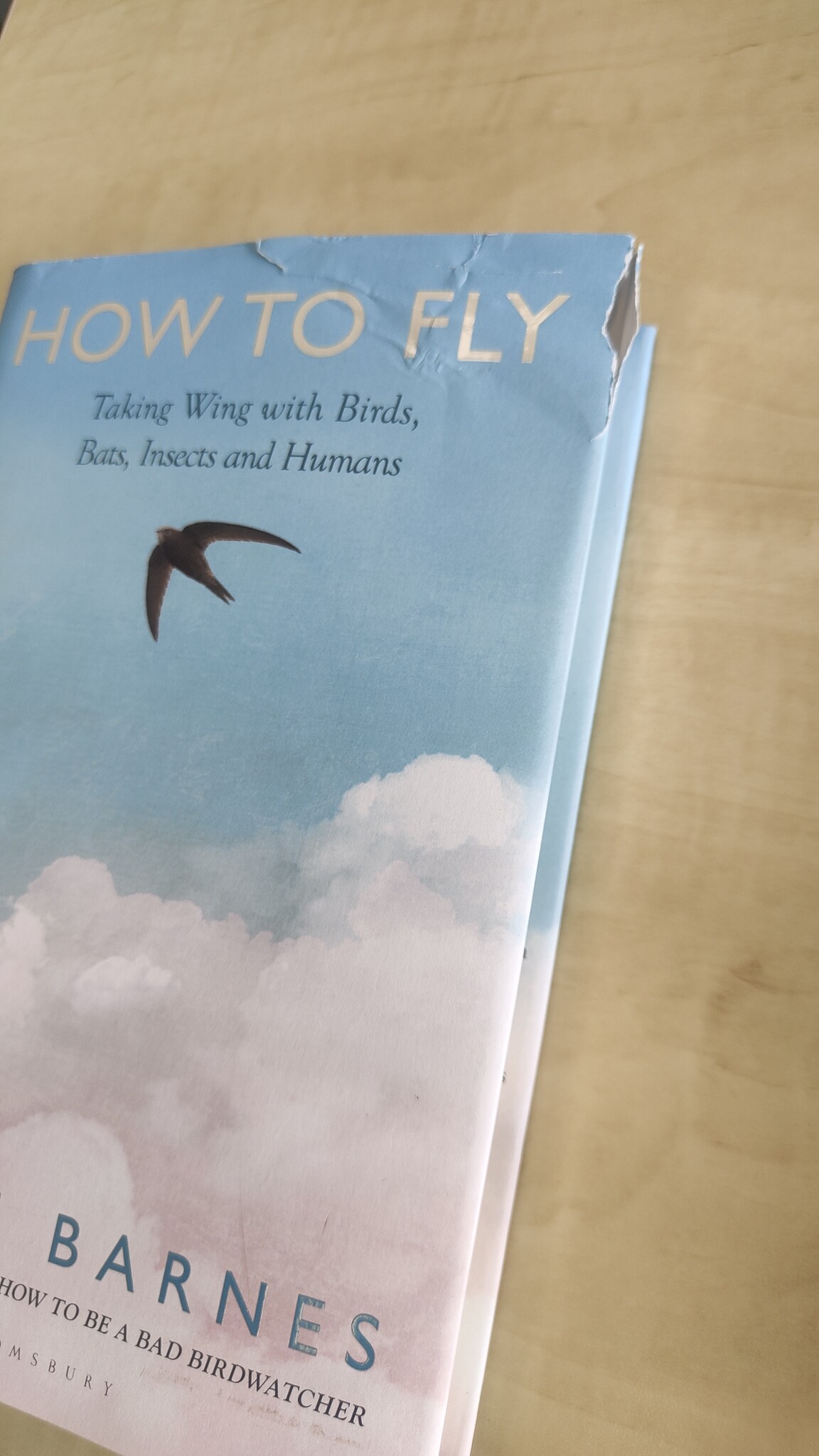 Beschädigte Kopie – How to Fly - Taking Wing with Birds, Bats, Insects and Humans