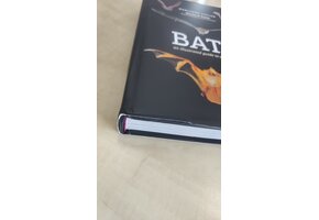 Damaged copy – Bats - An Illustrated Guide to All Species
