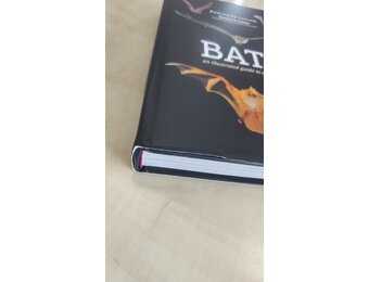 Beschadigd exemplaar – Bats - An Illustrated Guide to All Species