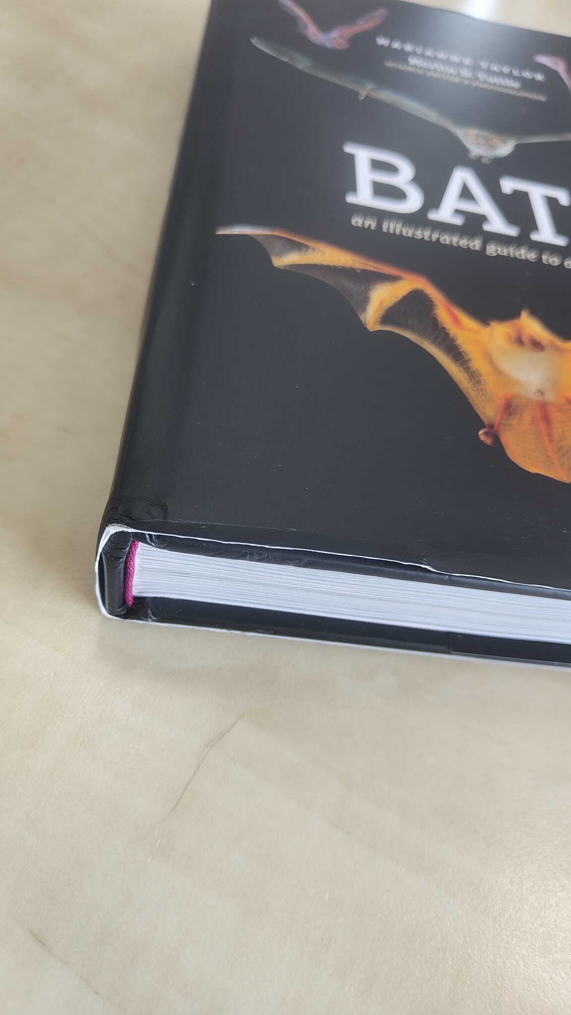 Beschadigd exemplaar – Bats - An Illustrated Guide to All Species