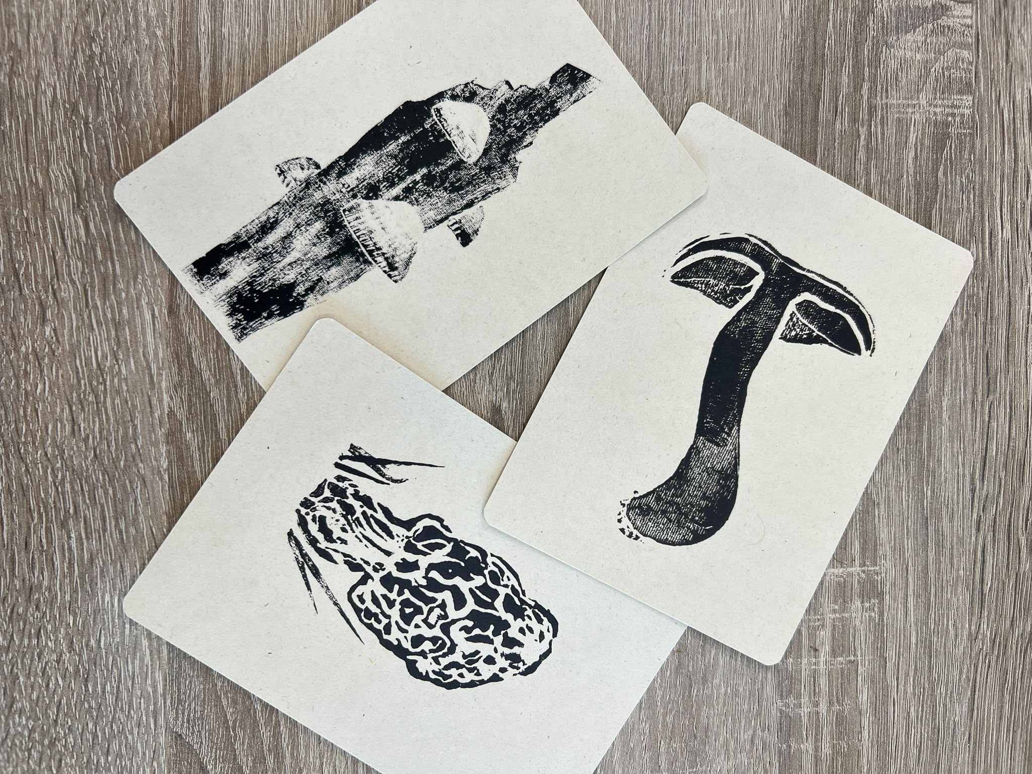 Ansichtkaarten Paddenstoelenprints - Set van 3