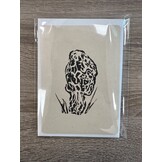 Postcards Mushroom Prints - Set of 3