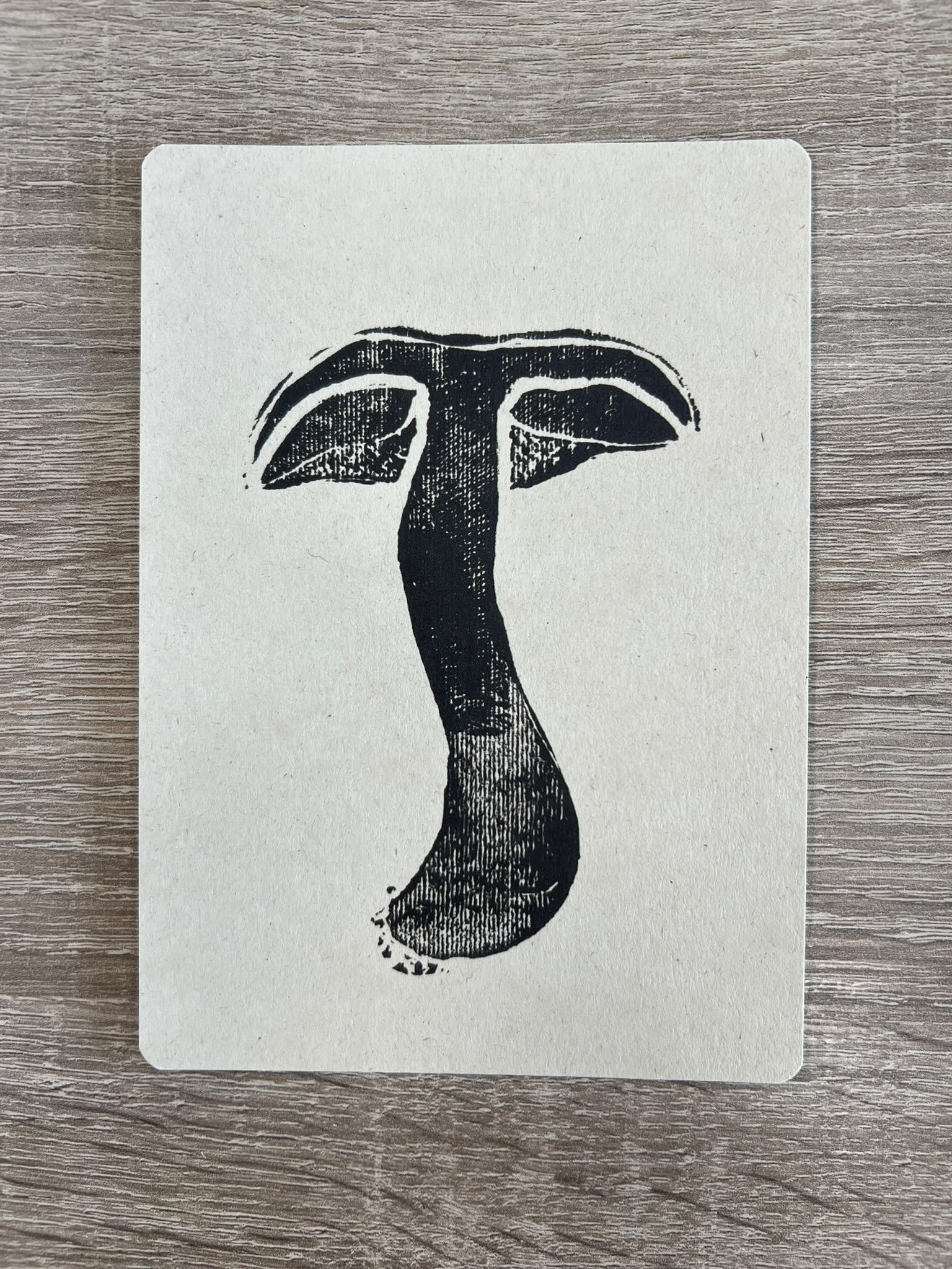 Postkarten Pilz-Prints – 3er-Set