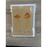 Postcards Mushroom Studies- Set of 4