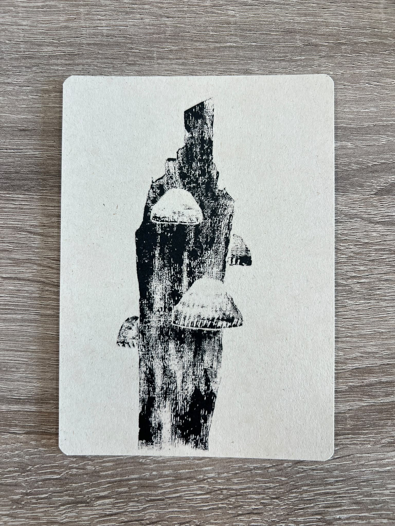 Postcards Mushrooms - Set of 10