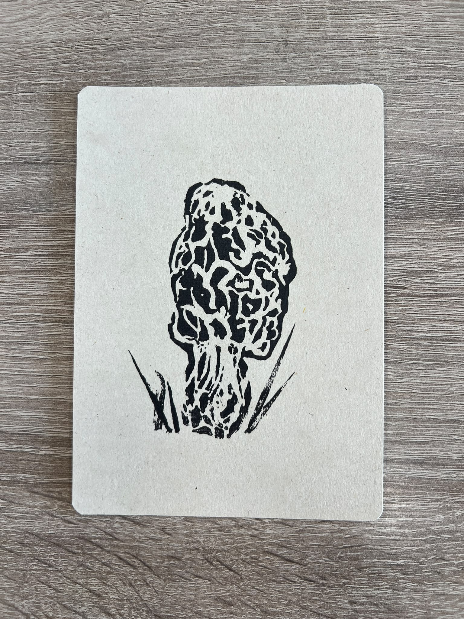 Ansichtkaarten Paddenstoelen - Set van 10
