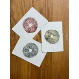 Postcards Mushrooms - Set of 10