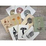 Postcards Mushrooms - Set of 10