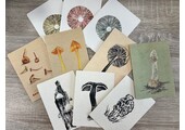Ansichtkaarten Paddenstoelen - Set van 10