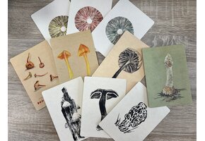 Postkarten Pilzen – 10er-Set