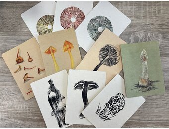 Ansichtkaarten Paddenstoelen - Set van 10