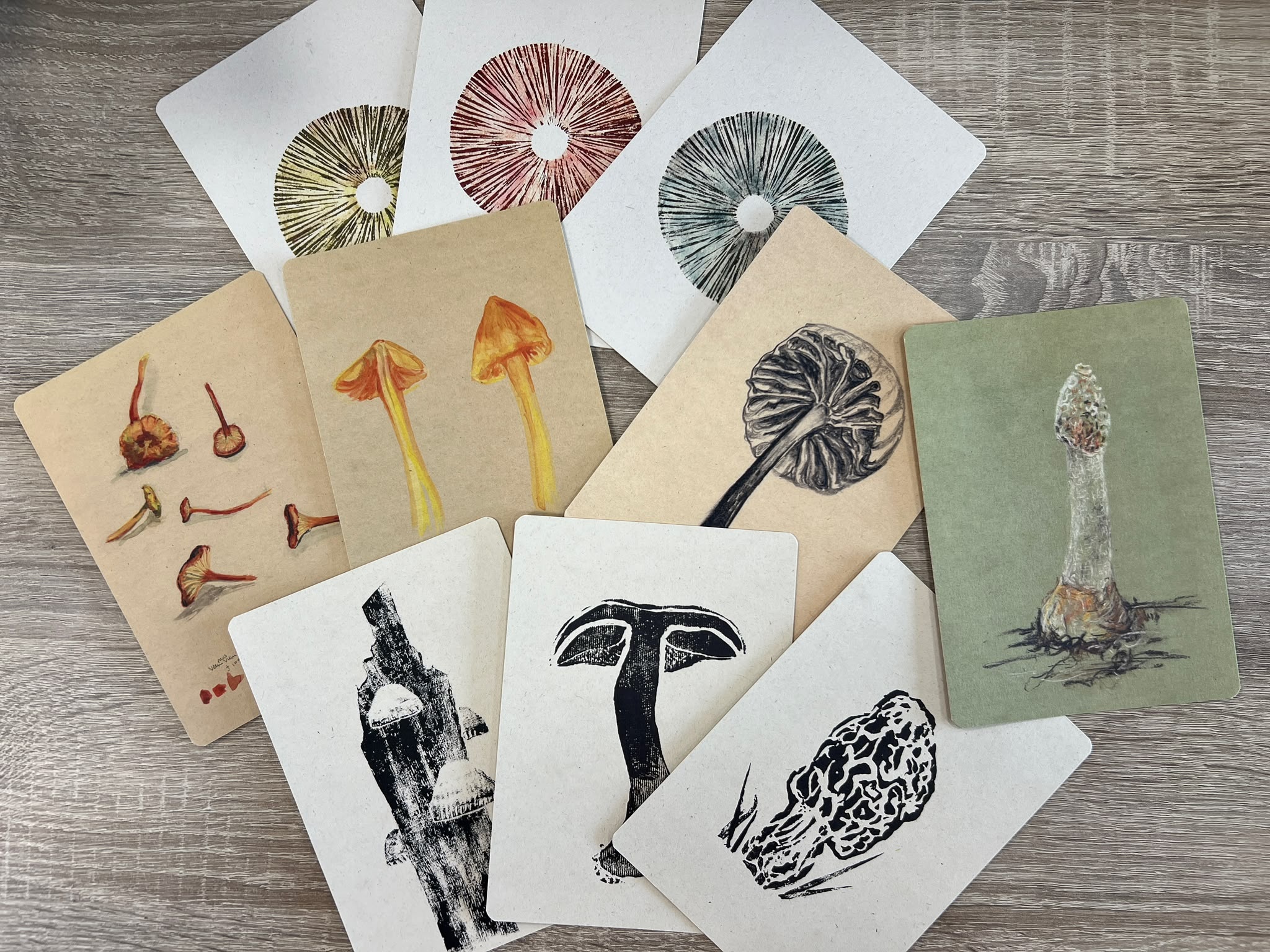 Ansichtkaarten Paddenstoelen - Set van 10