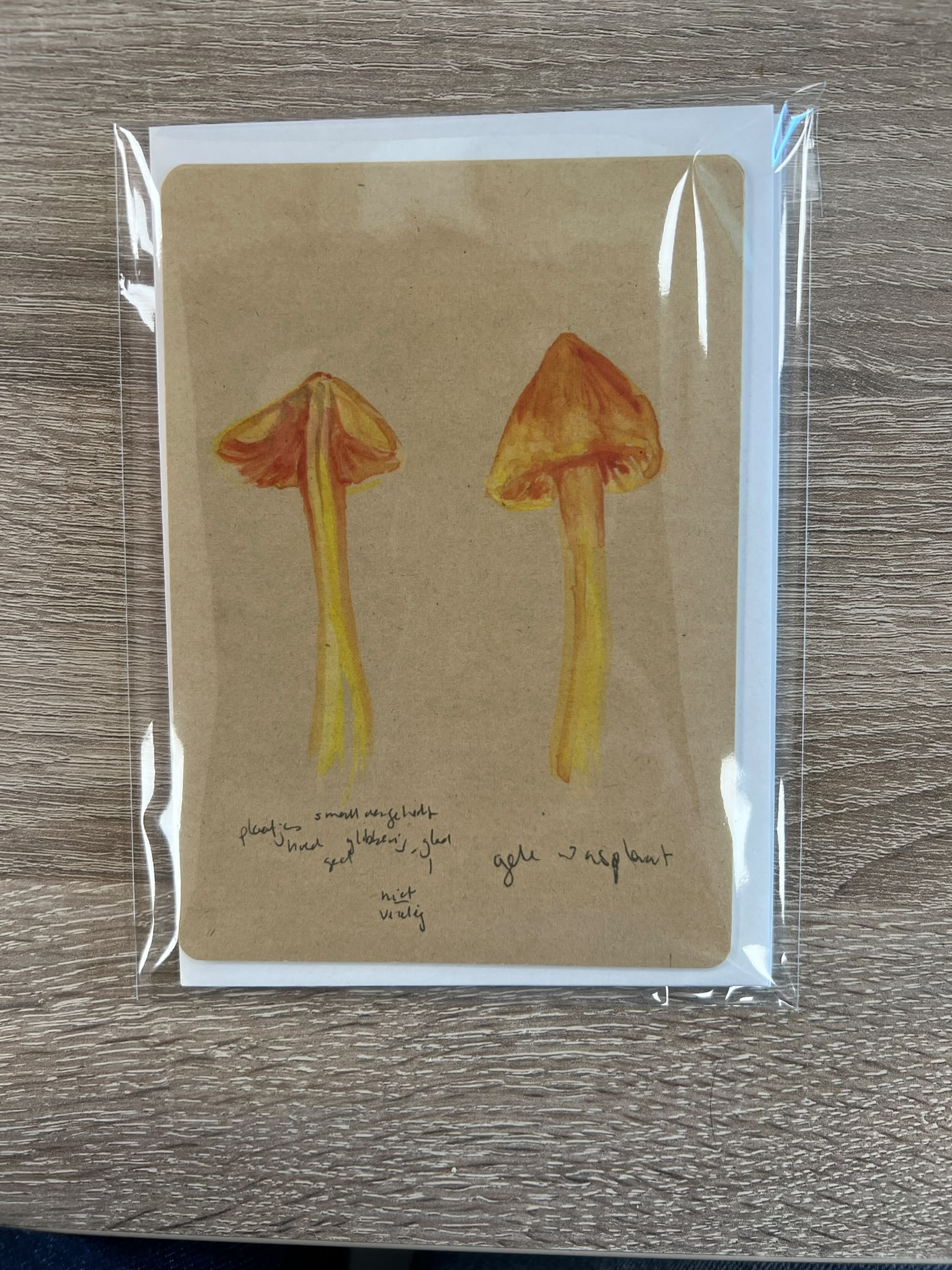 Ansichtkaarten Paddenstoelen - Set van 10