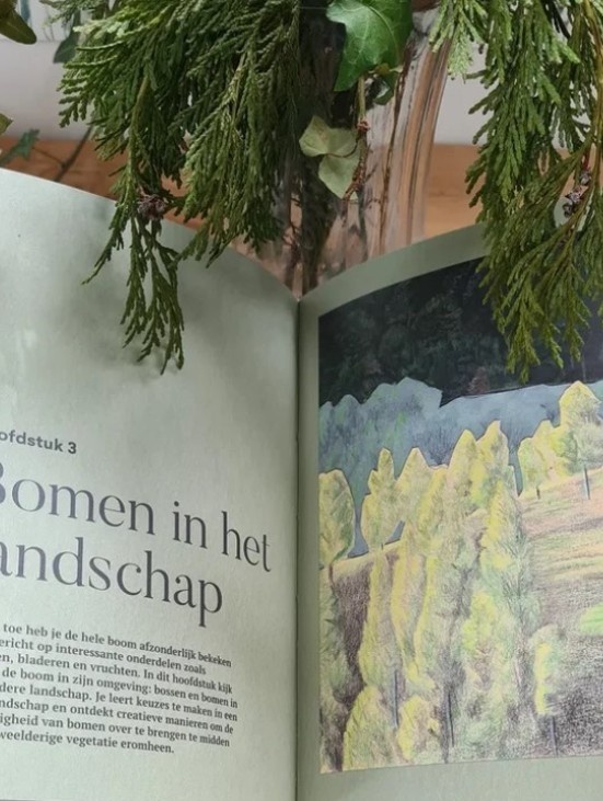 Zo teken je een boom - Van bes tot bos