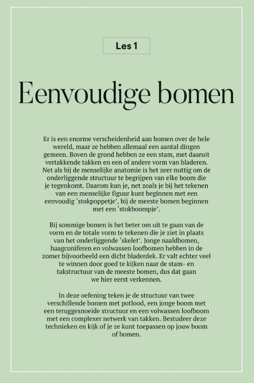 Zo teken je een boom - Van bes tot bos