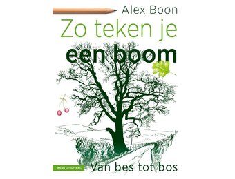 Zo teken je een boom