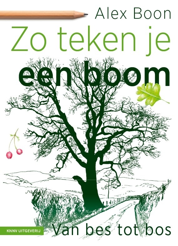 Zo teken je een boom - Van bes tot bos