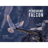 The Peregrine Falcon - The Epic Life and Times of the World’s Fastest Creature
