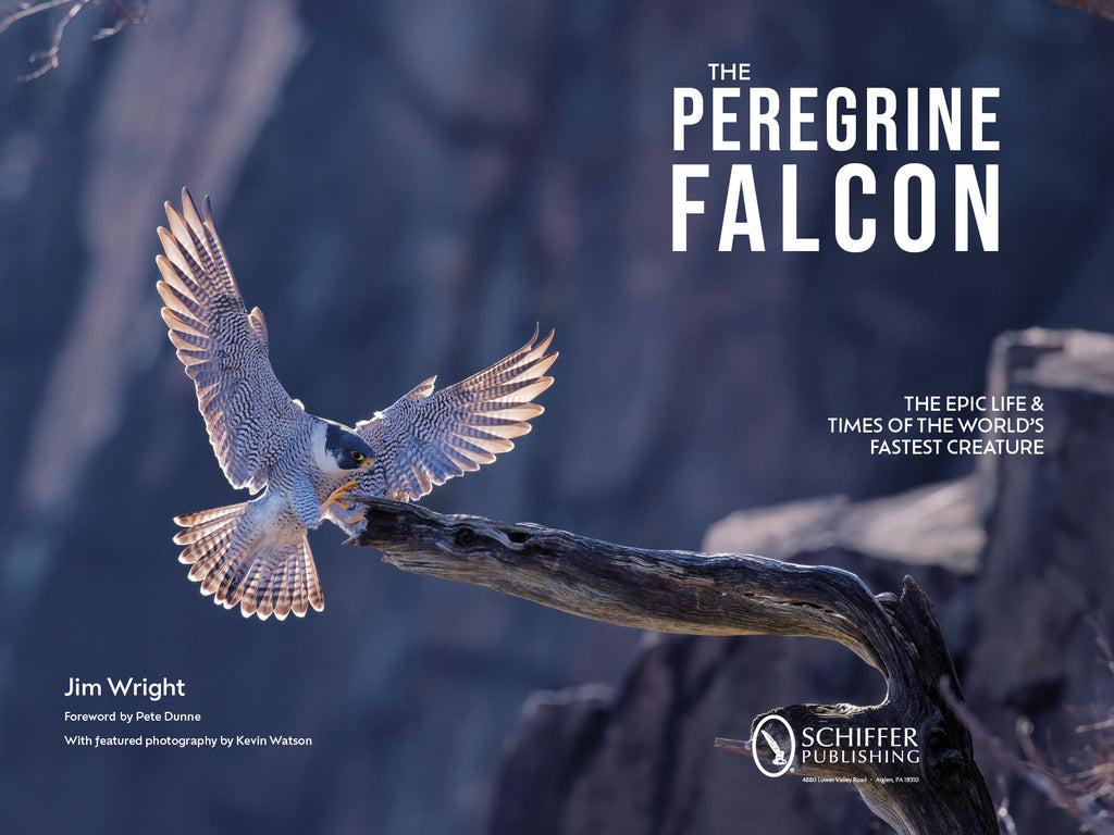 The Peregrine Falcon - The Epic Life and Times of the World’s Fastest Creature