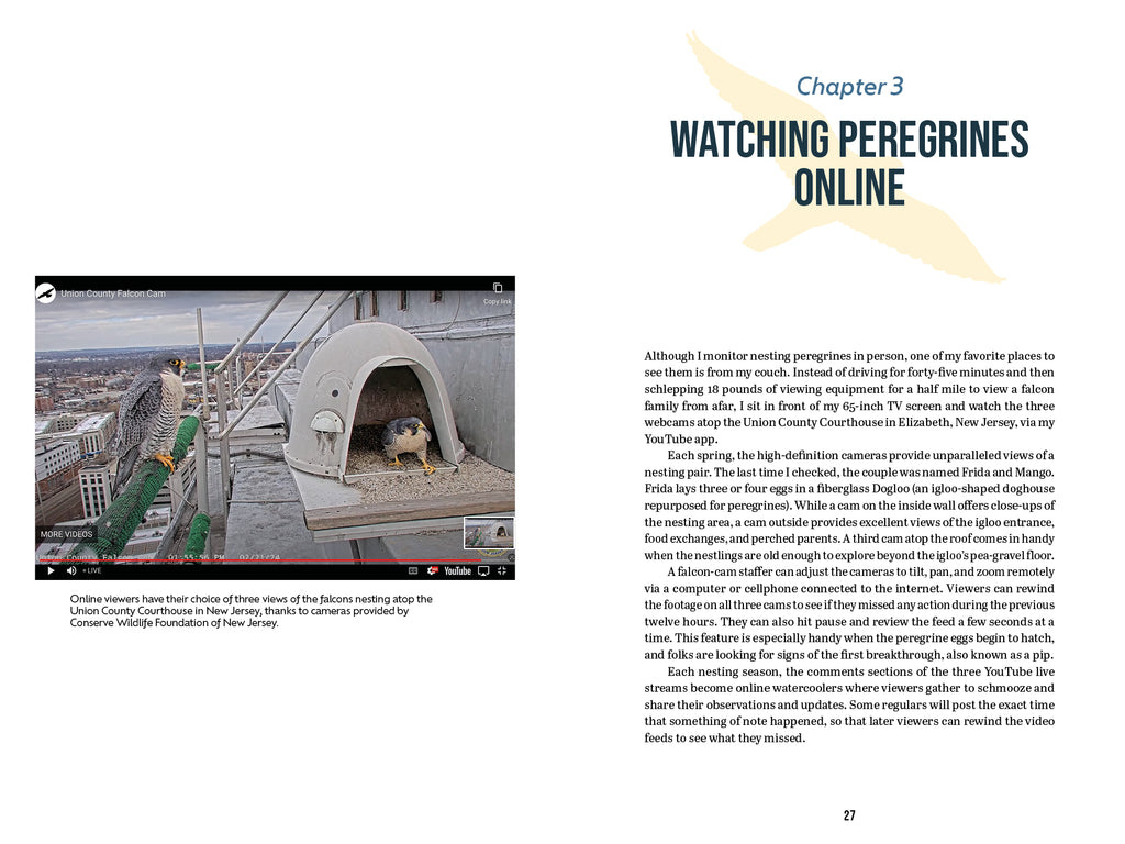 The Peregrine Falcon - The Epic Life and Times of the World’s Fastest Creature