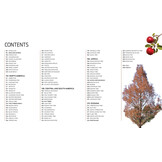 Trees of the World - A Celebration of the Beauty and Diversity of Species Across Continents