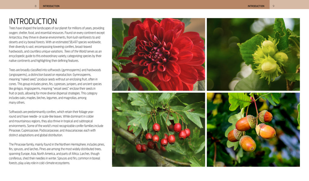 Trees of the World - A Celebration of the Beauty and Diversity of Species Across Continents