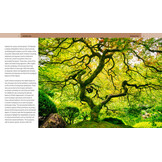 Trees of the World - A Celebration of the Beauty and Diversity of Species Across Continents