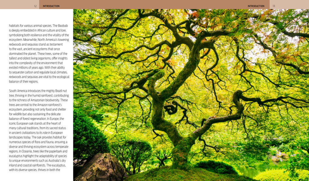 Trees of the World - A Celebration of the Beauty and Diversity of Species Across Continents