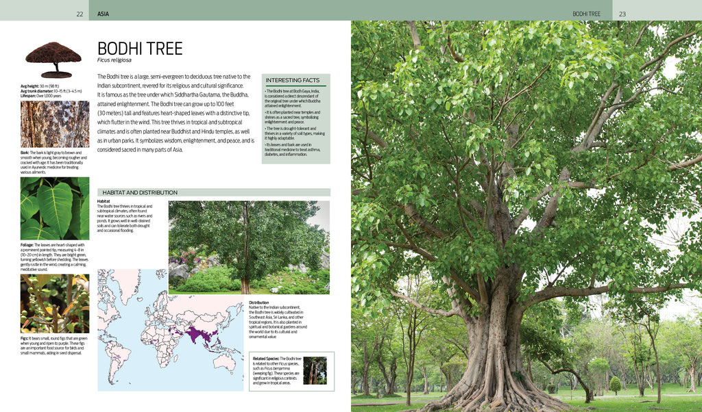 Trees of the World - A Celebration of the Beauty and Diversity of Species Across Continents